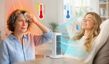 Electric Fan Home Desktop Dormitory Office USB Anion